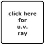 MSP Author: UV Ray