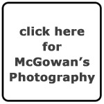 Robert McGowan's Photography