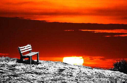 On The Bench