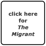 u.v. ray's The Migrant